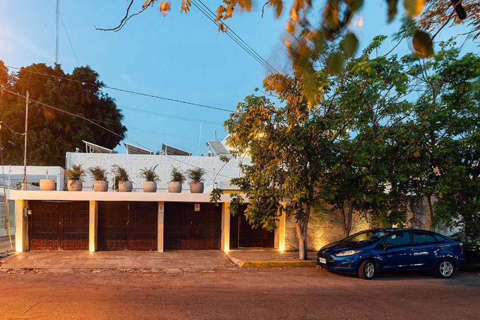 Blue Cat Merida Mérida Exterior foto
