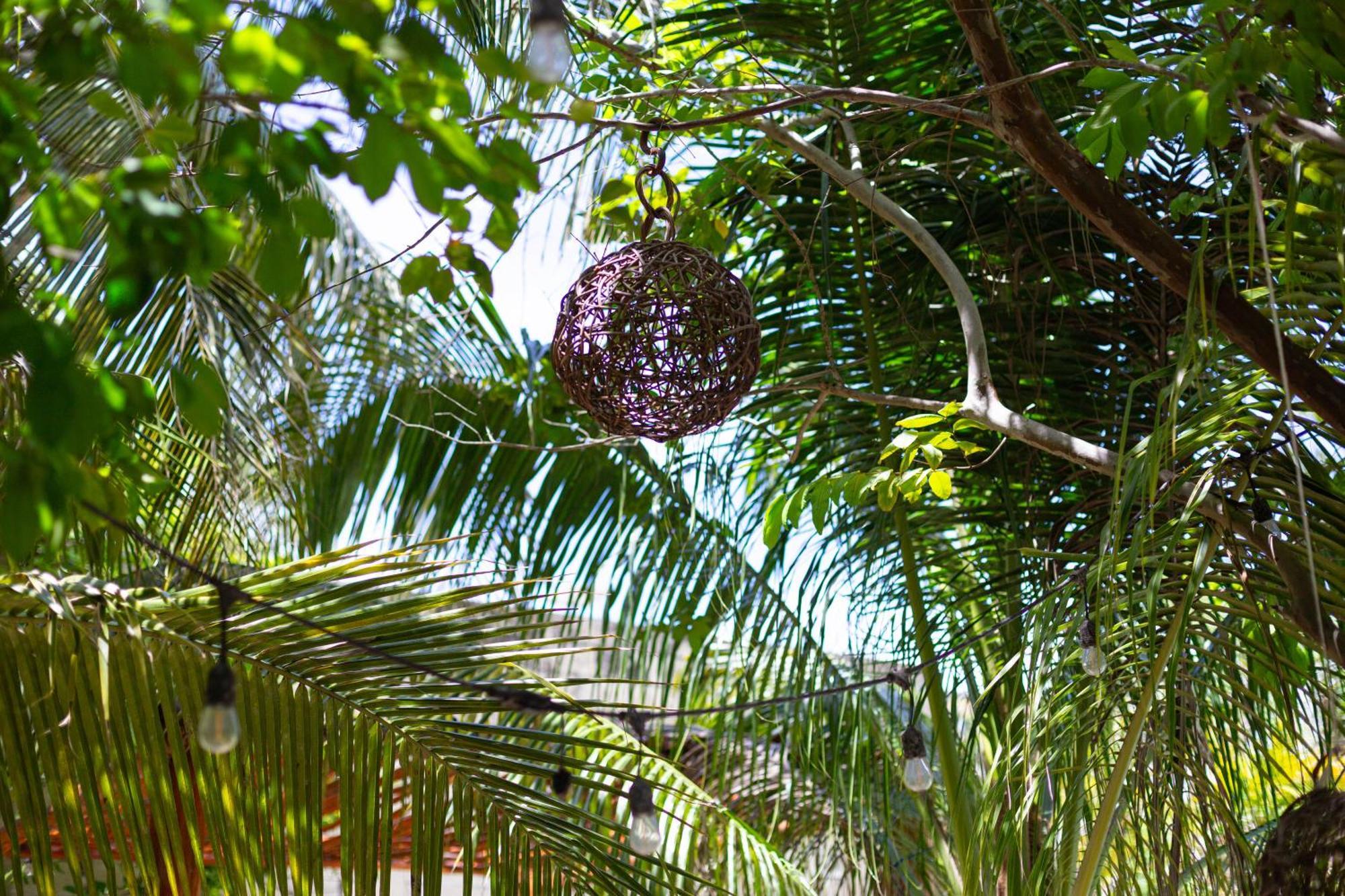 Blue Cat Merida Mérida Exterior foto