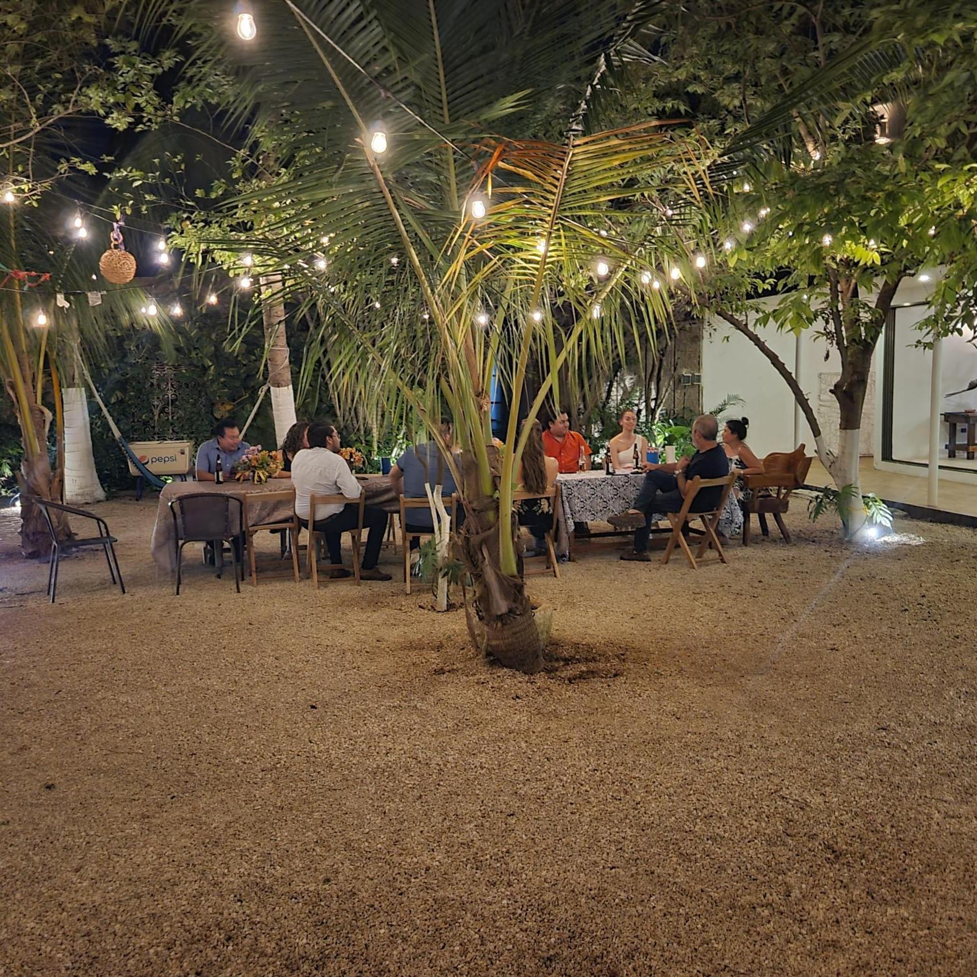 Blue Cat Merida Mérida Exterior foto